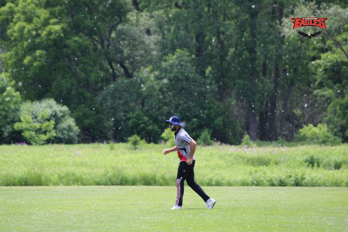 London Eagles Gallery