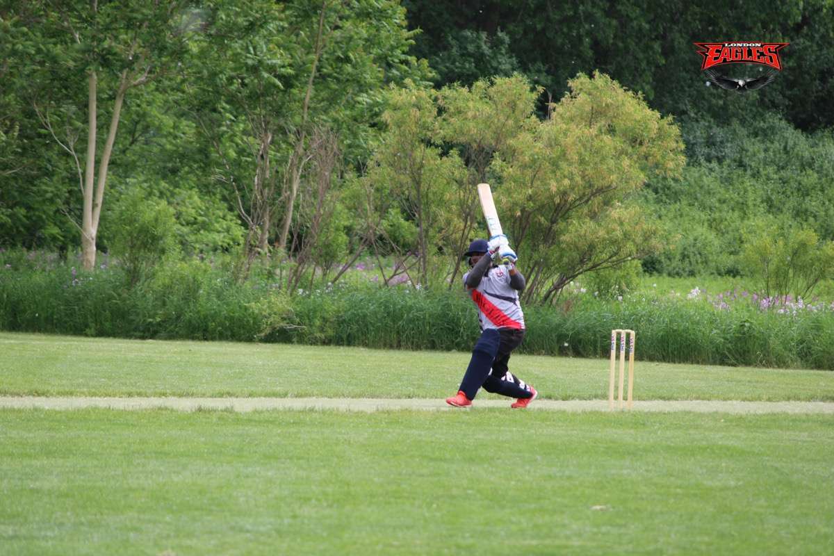 London Eagles Gallery