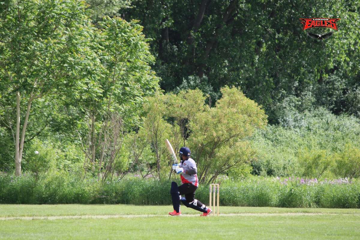 London Eagles Gallery