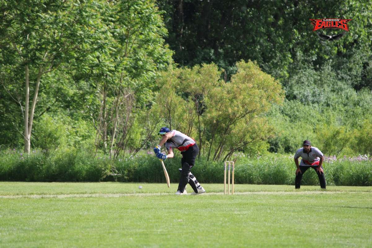 London Eagles Gallery