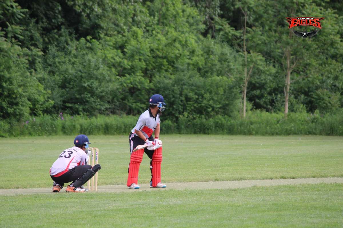 London Eagles Gallery