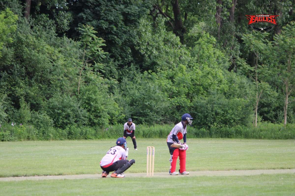 London Eagles Gallery