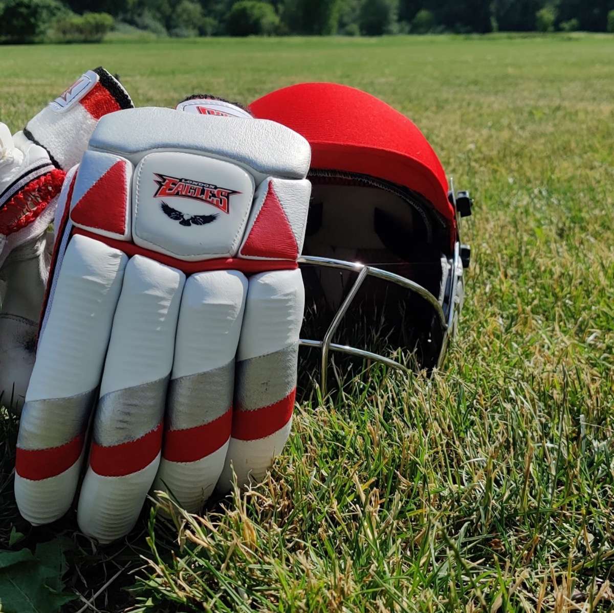 London Eagles Gallery