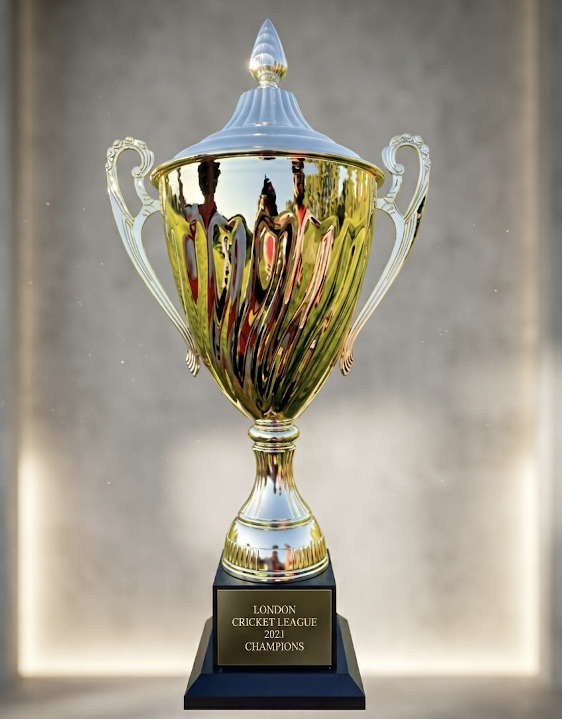 London Cricket League Champions