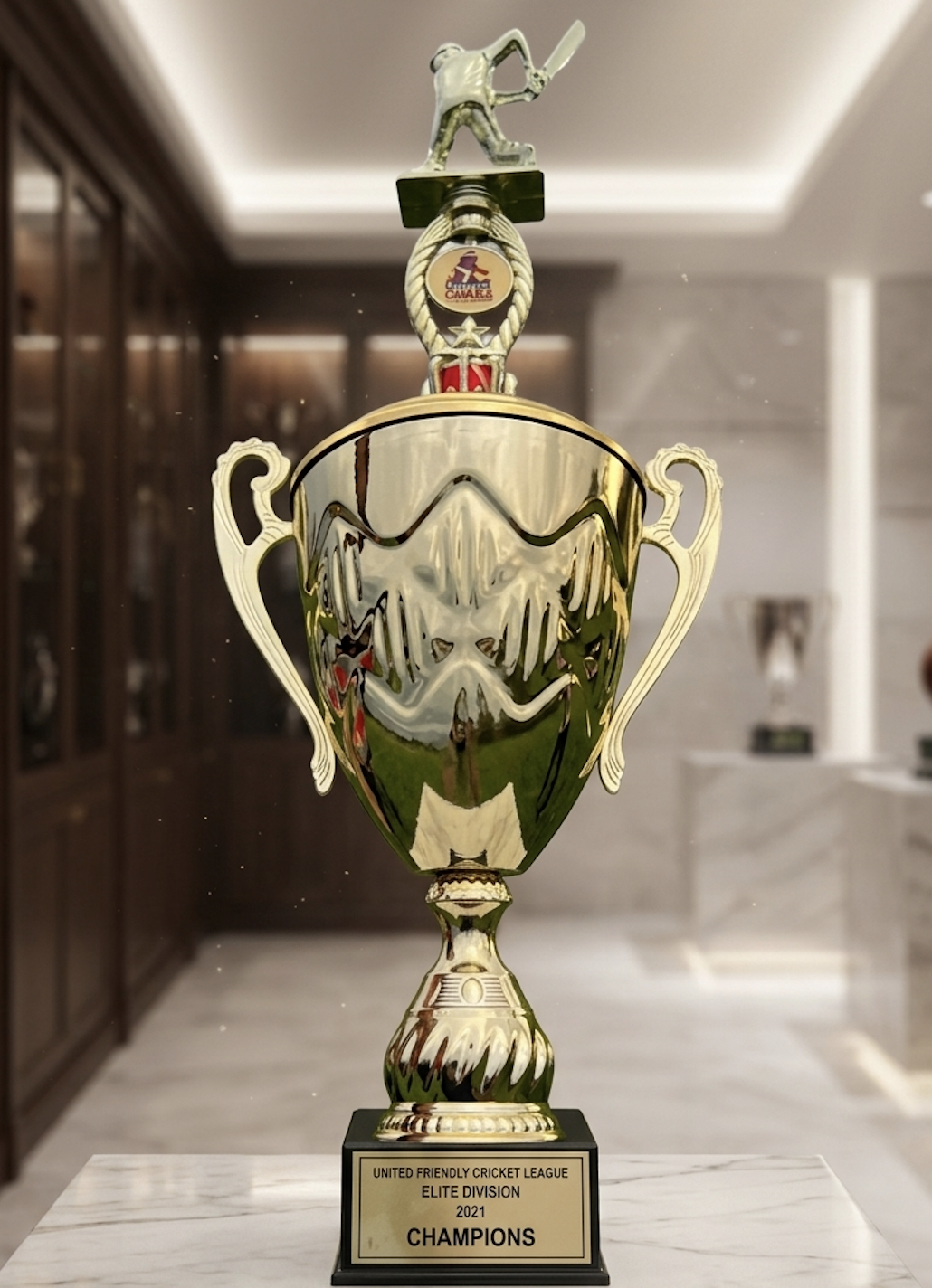 United Friendly Cricket League Champions